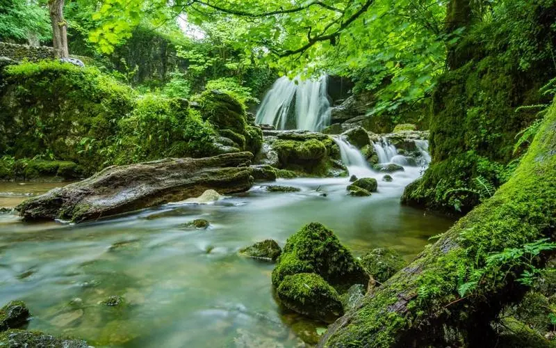 稳定性高效自动化